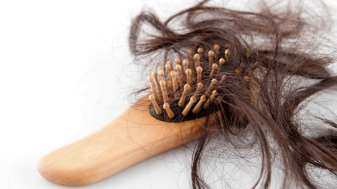 capelli rimasti attaccati alla spazzola